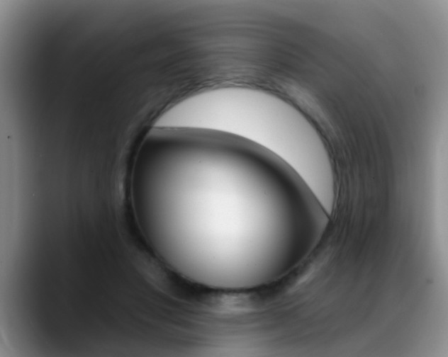 X0000089390501200706150934