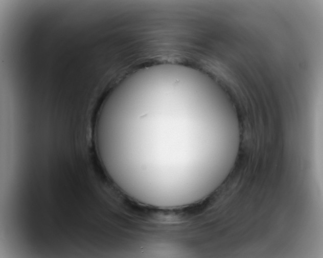 X0000089390502200706150934