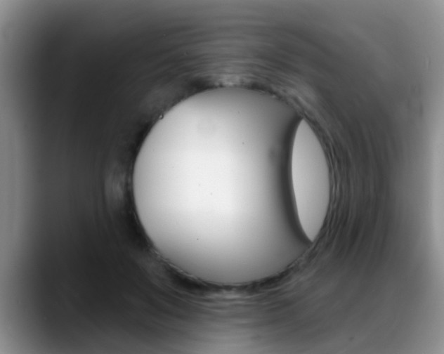 X0000089390503200706150934