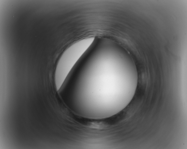 X0000089390508200706150934