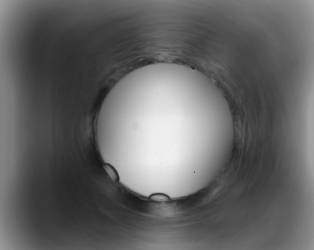 X0000089390511200706150934