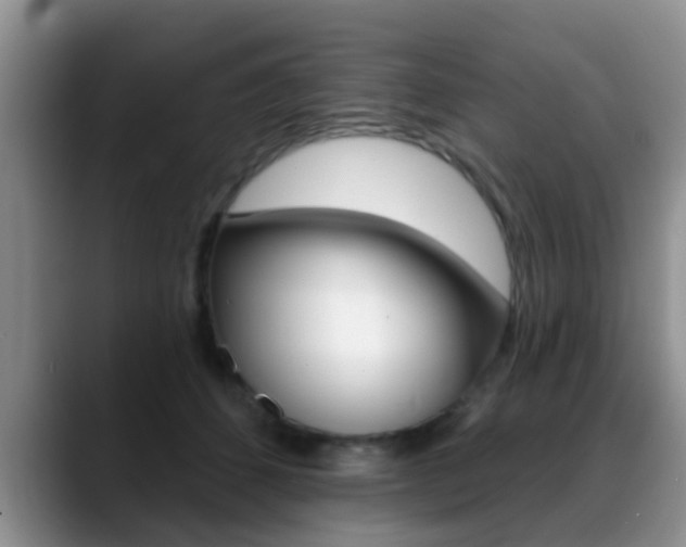X0000089390512200706150934