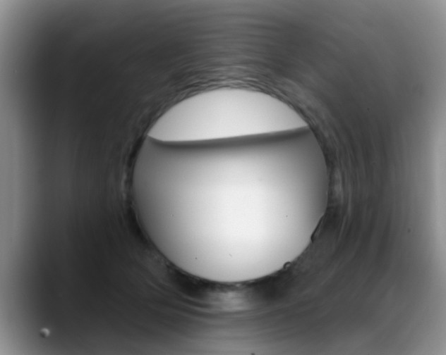 X0000089390514200706150934
