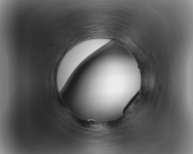 X0000089390516200706150934