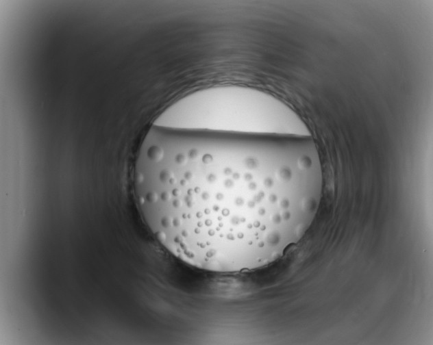 X0000089390519200706150934