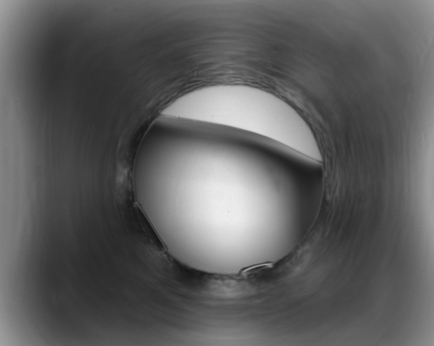 X0000089390521200706150934