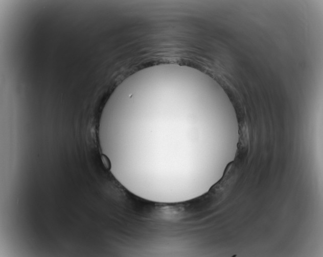 X0000089390522200706150934