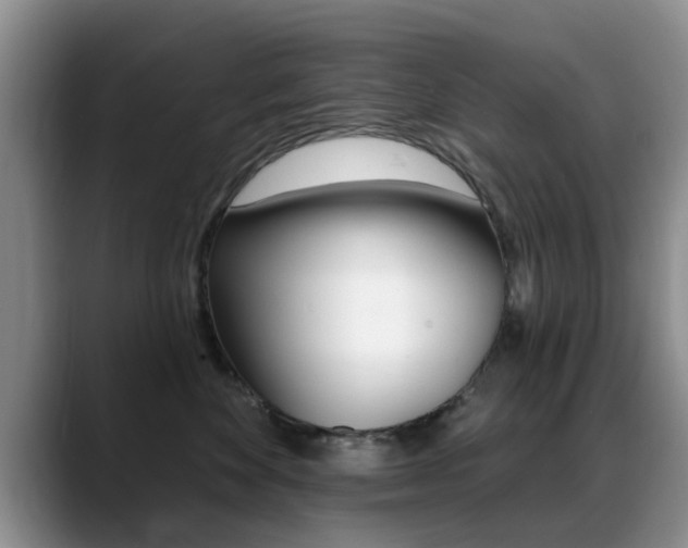 X0000089390524200706150934