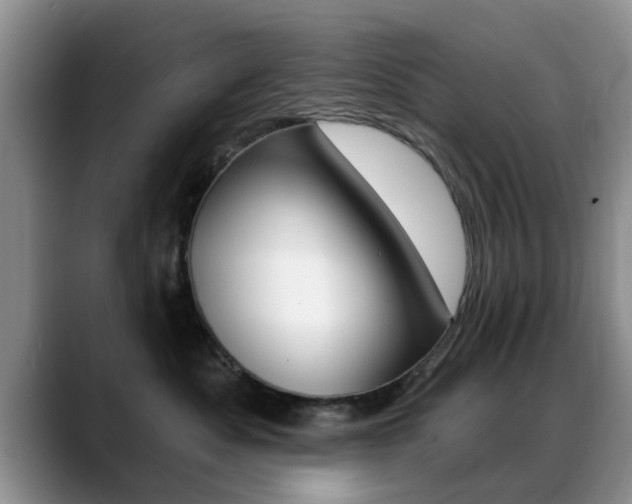 X0000089390525200706150934