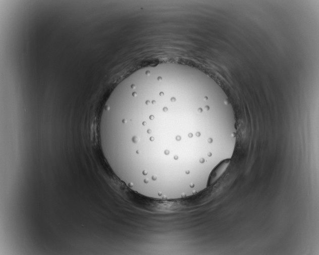 X0000089390527200706150934