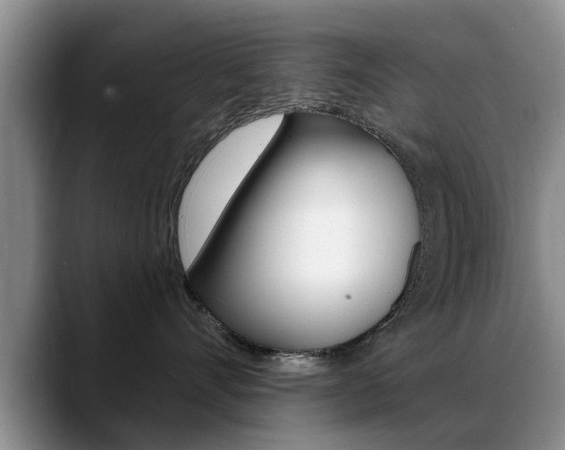 X0000089390528200706150934