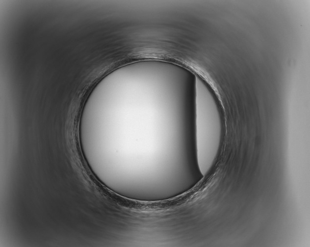 X0000089390529200706150933