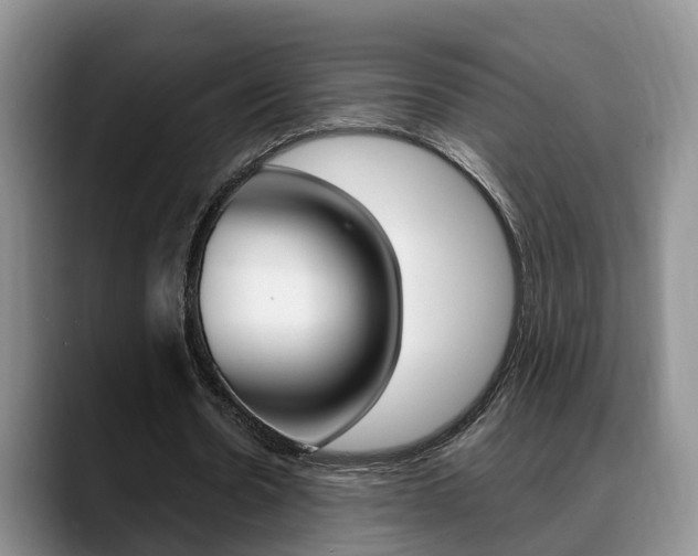 X0000089390530200706150933