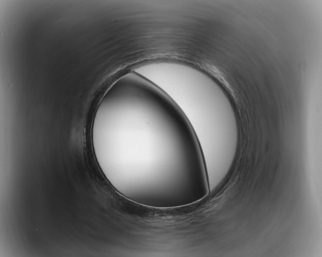 X0000089390531200706150933