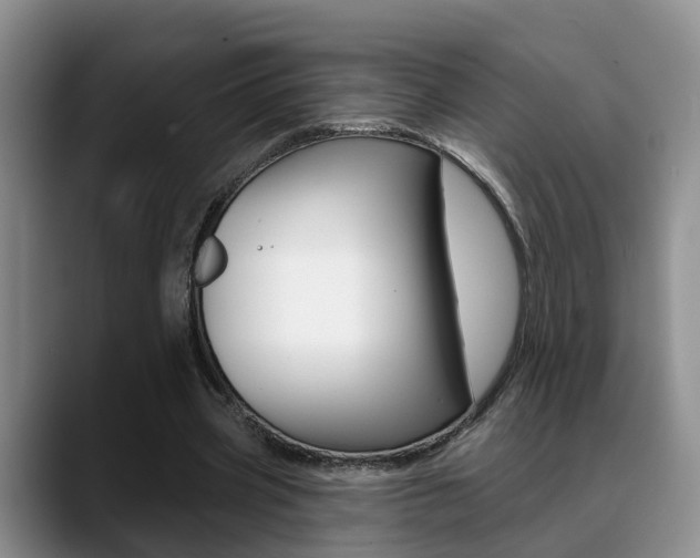 X0000089390533200706150933