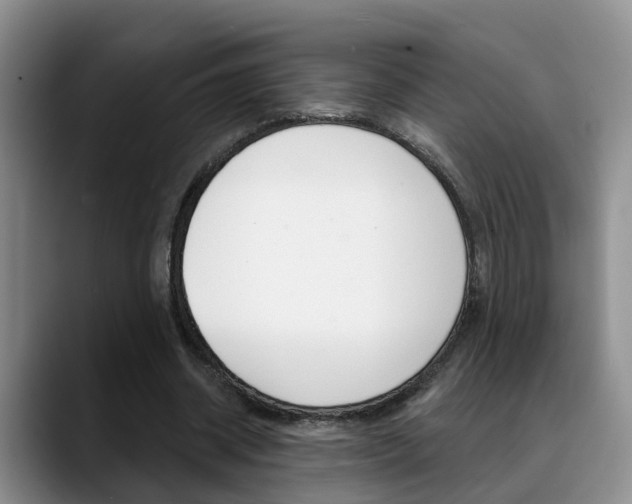 X0000089390534200706150933
