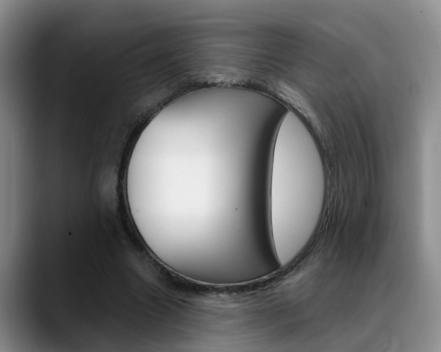 X0000089390538200706150933
