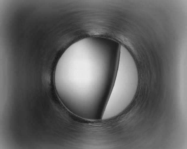 X0000089390539200706150933