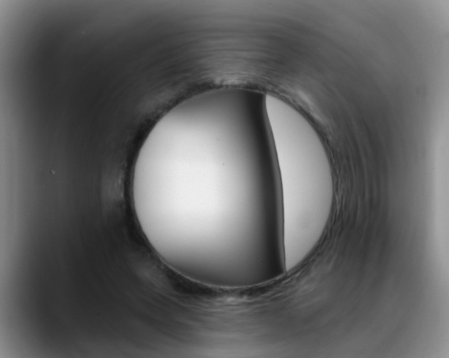 X0000089390543200706150933