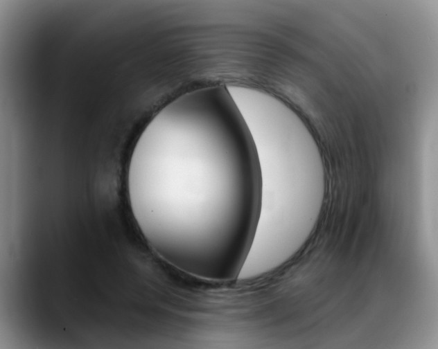 X0000089390544200706150933