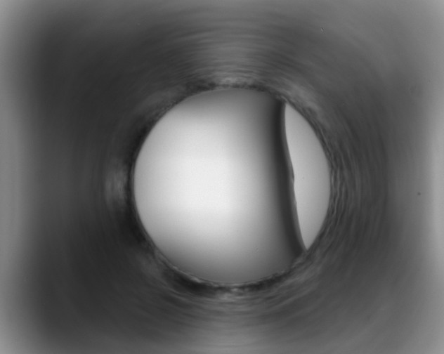 X0000089390550200706150933