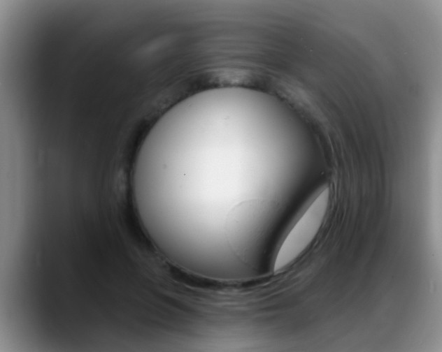 X0000089390551200706150933