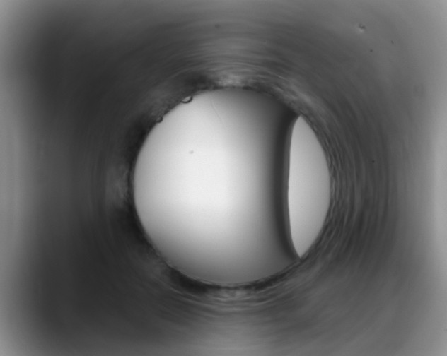 X0000089390554200706150933