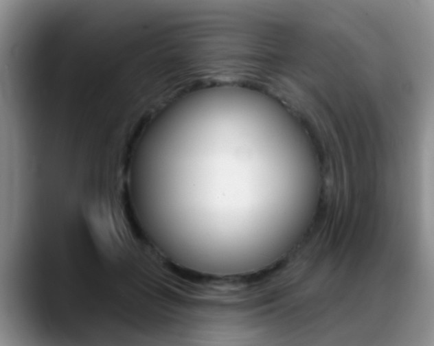 X0000089390555200706150933