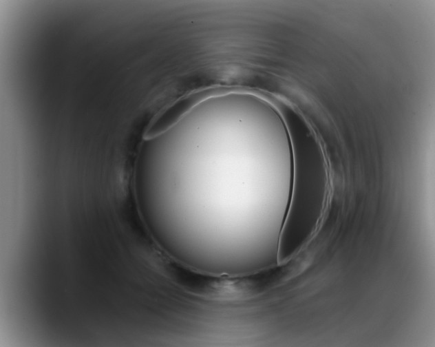 X0000089390558200706150933