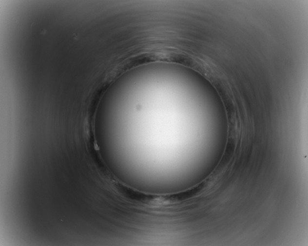 X0000089390562200706150933