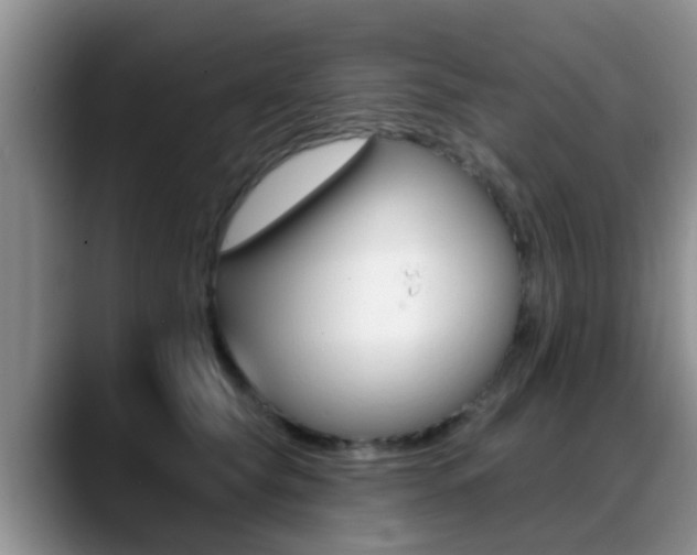 X0000089390565200706150933