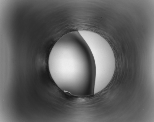 X0000089390566200706150933