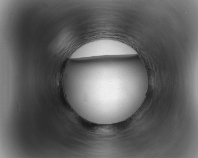 X0000089390567200706150933
