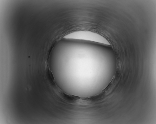 X0000089390568200706150933