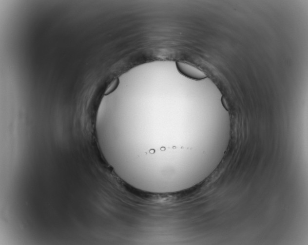 X0000089390569200706150933