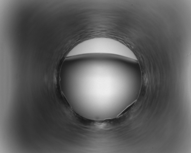 X0000089390570200706150933