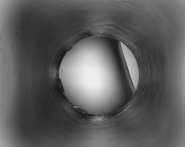 X0000089390574200706150934