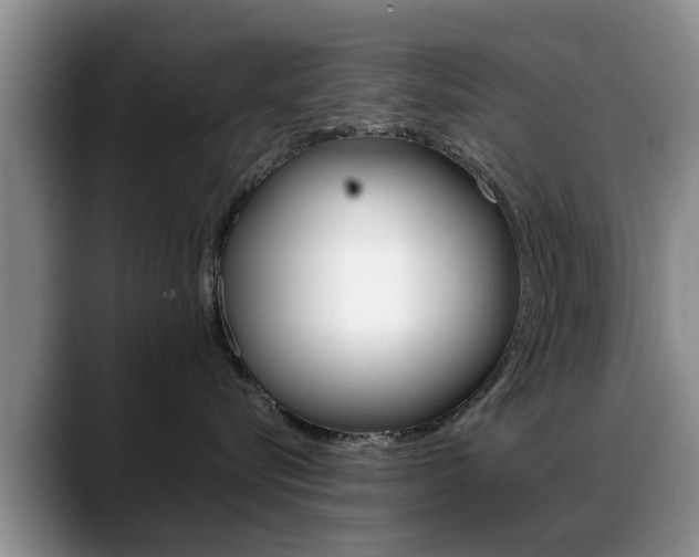 X0000089390576200706150934