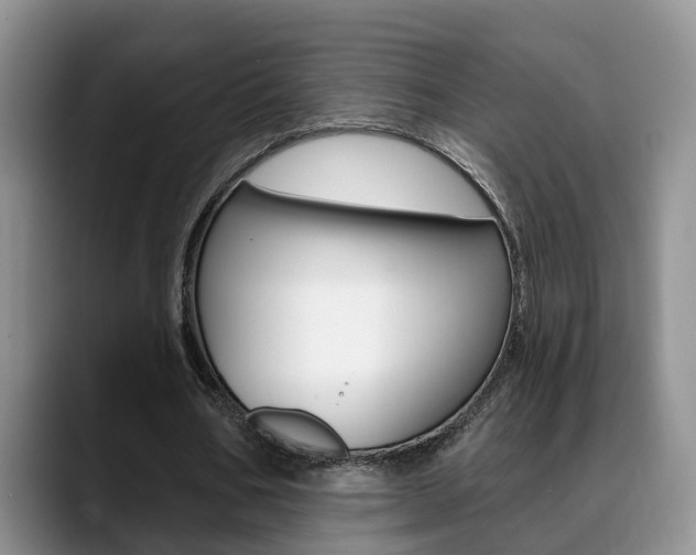 X0000089390578200706150933
