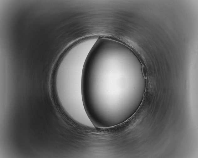 X0000089390580200706150933
