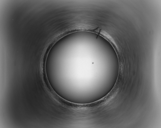 X0000089390581200706150933