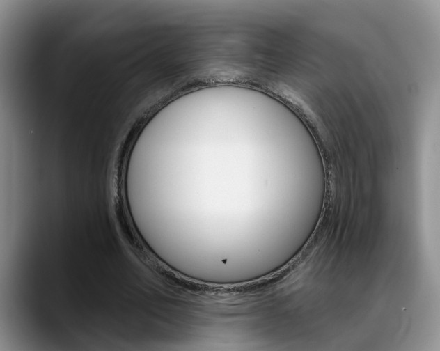 X0000089390582200706150933