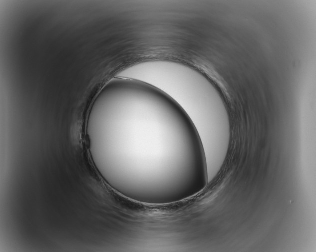 X0000089390585200706150933