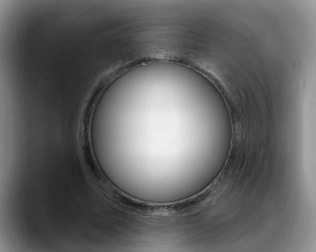 X0000089390587200706150933