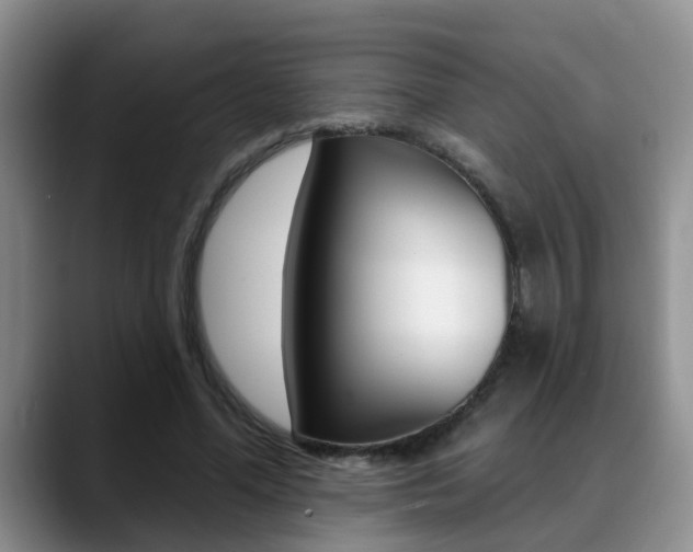 X0000089390588200706150933