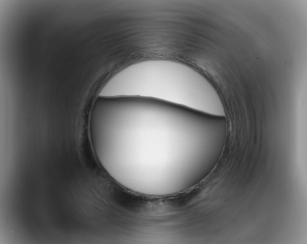 X0000089390591200706150933