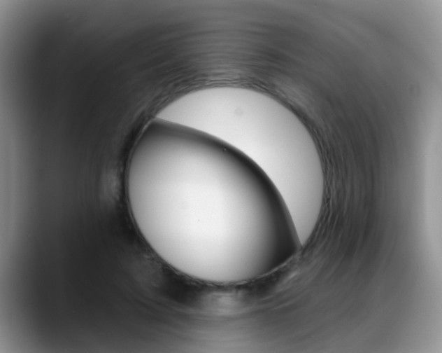 X0000089390595200706150933