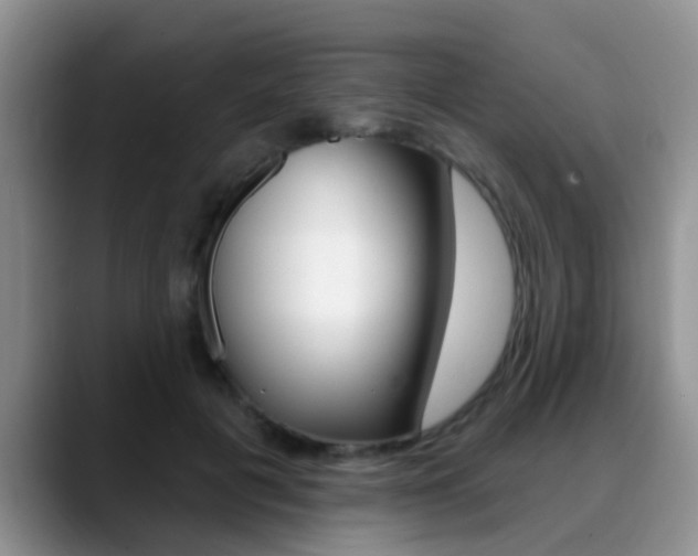 X0000089390601200706150933