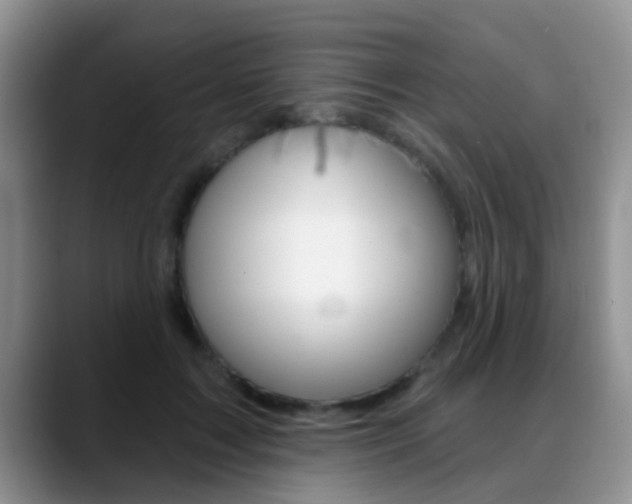 X0000089390603200706150933