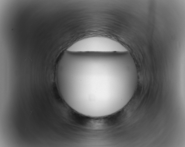 X0000089390606200706150933